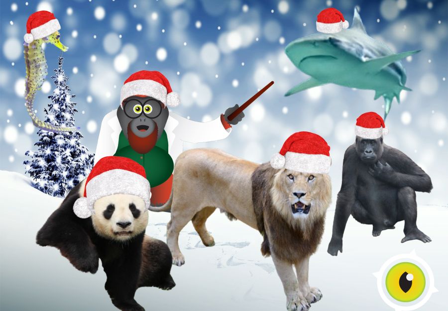 Zoos et aquariums ouverts pendant les vacances de noel 2 ... - Image 2