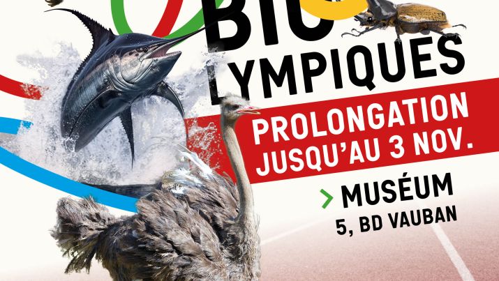 Exposition BIOLympiques - LE MUSEUM